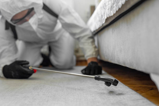 Professional Pest Control technician working in Kyle, SD