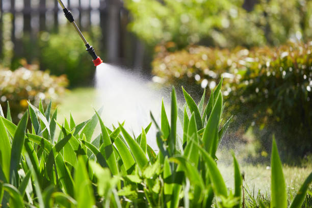24/7 Emergency Pest Control experts in Kyle, SD