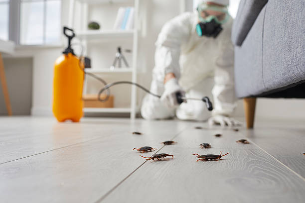 Affordable Pest Control solutions in Kyle, SD